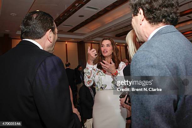 Actress Brooke Shields attends the Scribbles To Novels 10th Anniversary Gala held at Pier Sixty at Chelsea Piers on April 16, 2015 in New York City.