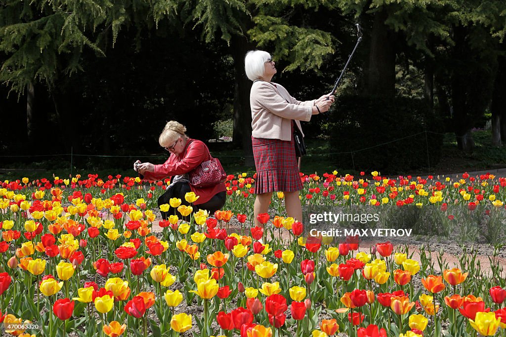 UKRAINE-RUSSIA-CRISIS-CRIMEA-GARDEN-TULIP-FEATURE