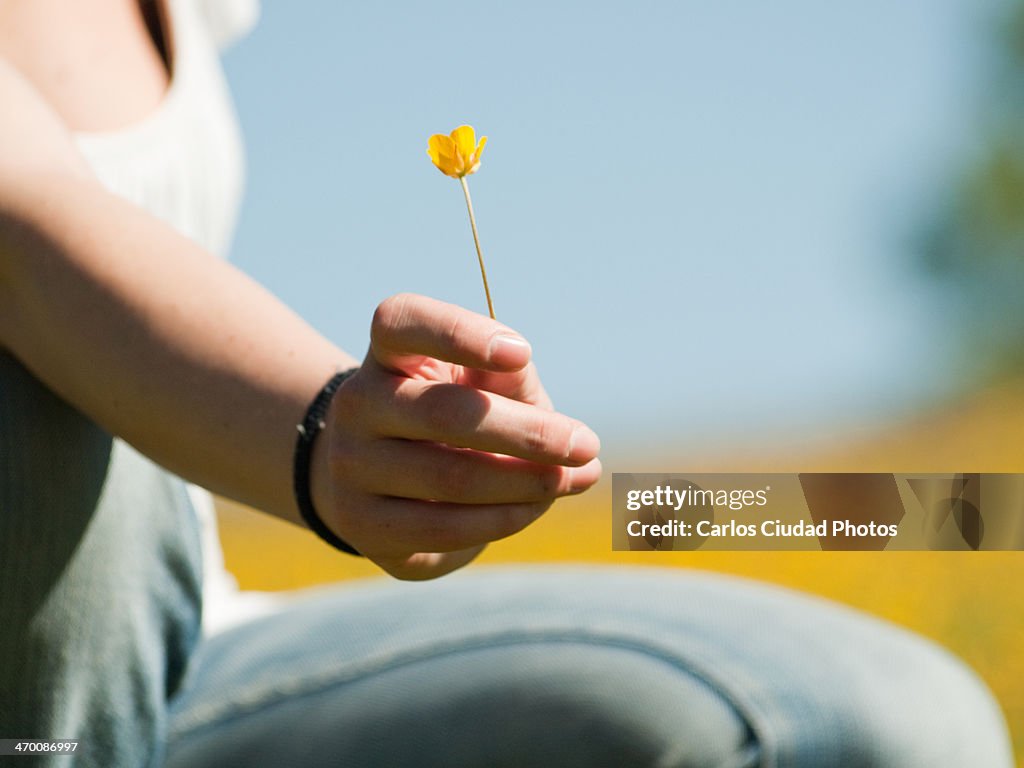 Woman's hand holding a yellow flower