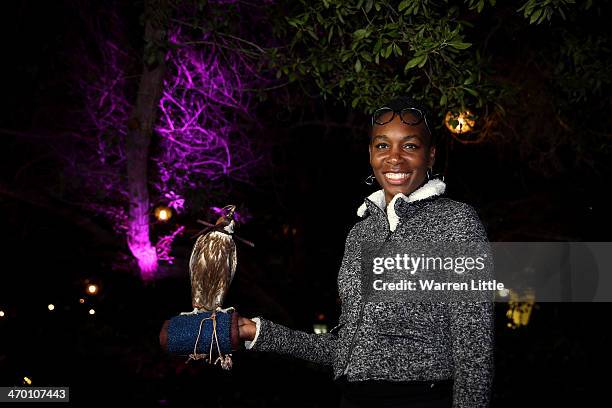 Venus Williams of the USA poses with a falcon during the players party on day two of the WTA Dubai Duty Free Tennis Championship at the Dubai Tennis...