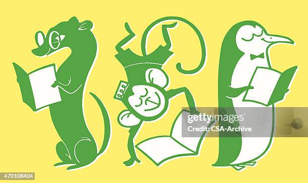 ferret monkey and penguin all reading books - weasel stock illustrations