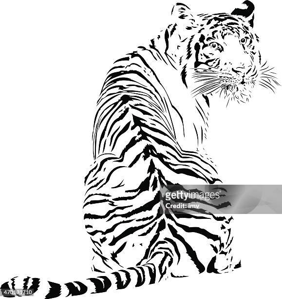 bildbanksillustrationer, clip art samt tecknat material och ikoner med tiger illustration in black lines - looking over shoulder