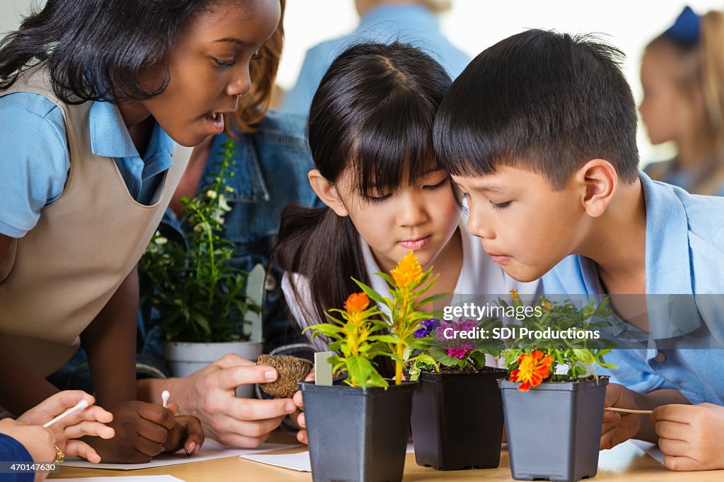 Diverse elementary school students studying plants in science class