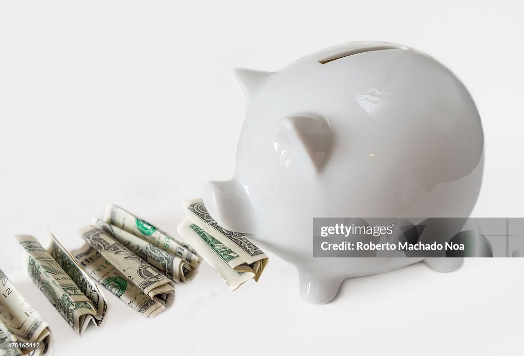 White piggy bank eating USA dollars one at a time, financial...