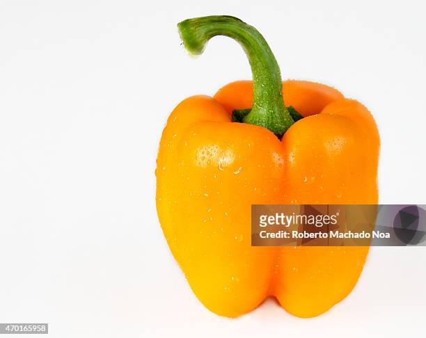 Beautiful orange bell pepper with water drpplets in white background, also known as sweet pepper or a pepper and capsicum is a cultivar group of the...