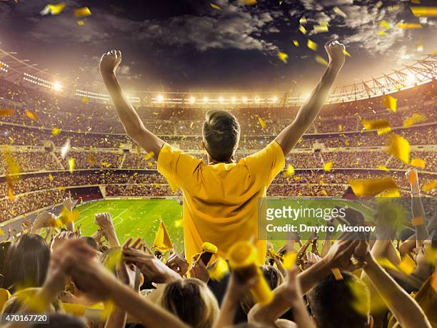 fans at stadium - fan enthusiast stock pictures, royalty-free photos & images