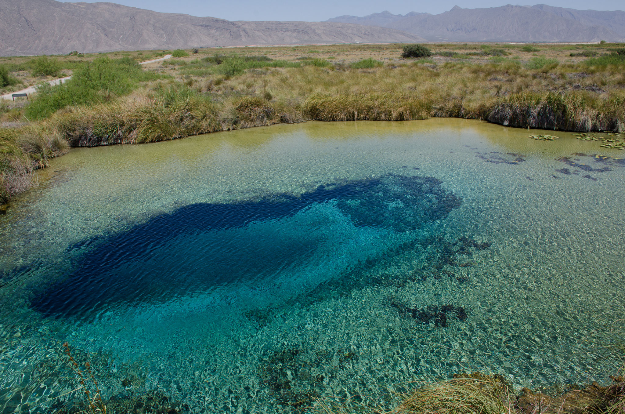 cuatro cienegas pozas
