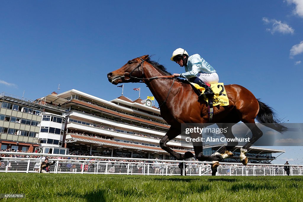 Newbury Races