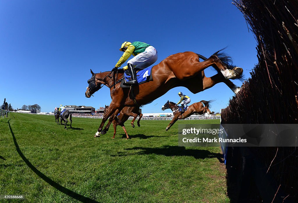 Ayr Races