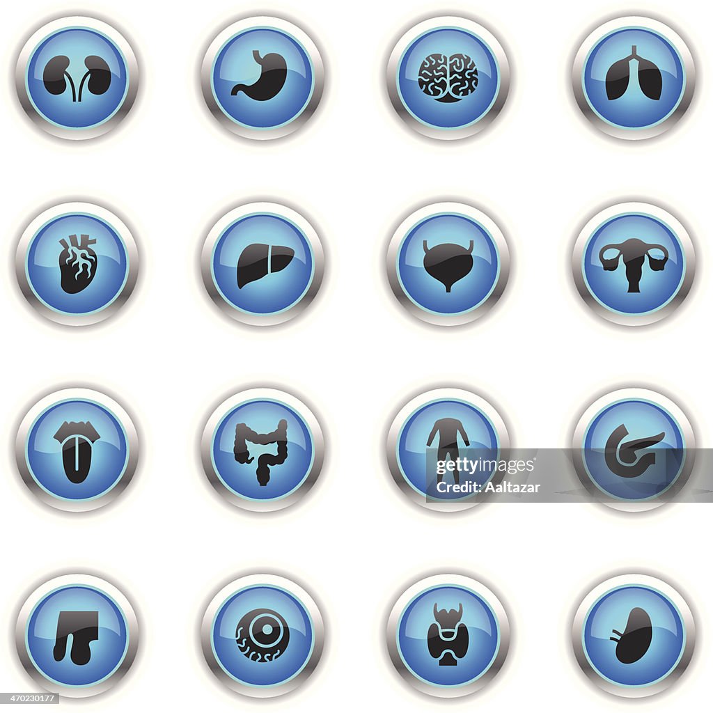 Blue Icons - Human Organs
