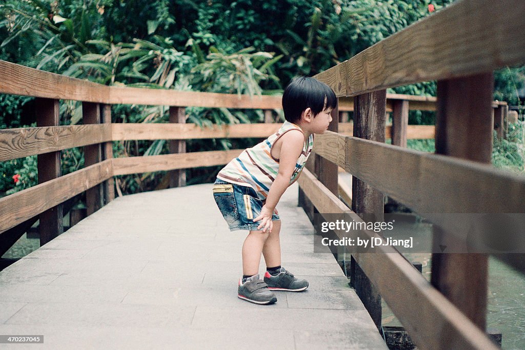 Curious Boy