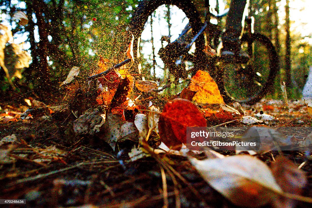 Autumn Mountain Biking