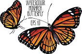 Watercolor monarch butterflies