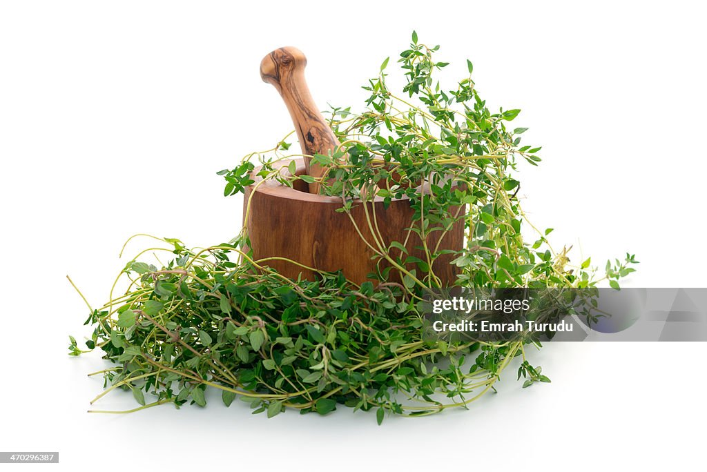 Oregano and Mortar and Pestle on white background