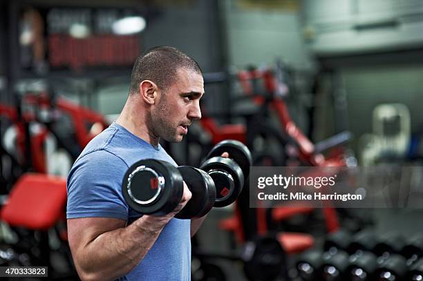 athletic male lifting dumbbells in gym - entrenamiento de fuerza fotografías e imágenes de stock