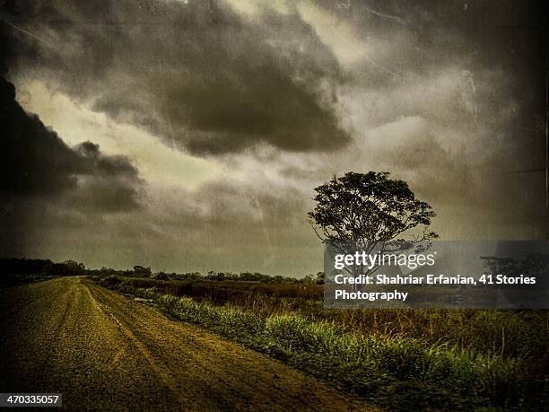 on route to the beach - pedernales stock pictures, royalty-free photos & images