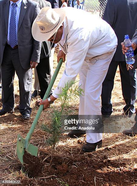 Ethiopian Prime Minister Hailemariam Desalegn, plants a tree at Bewazit Park within the 4th Tana High-Level Forum on Security in Africa in Bahir Dar...