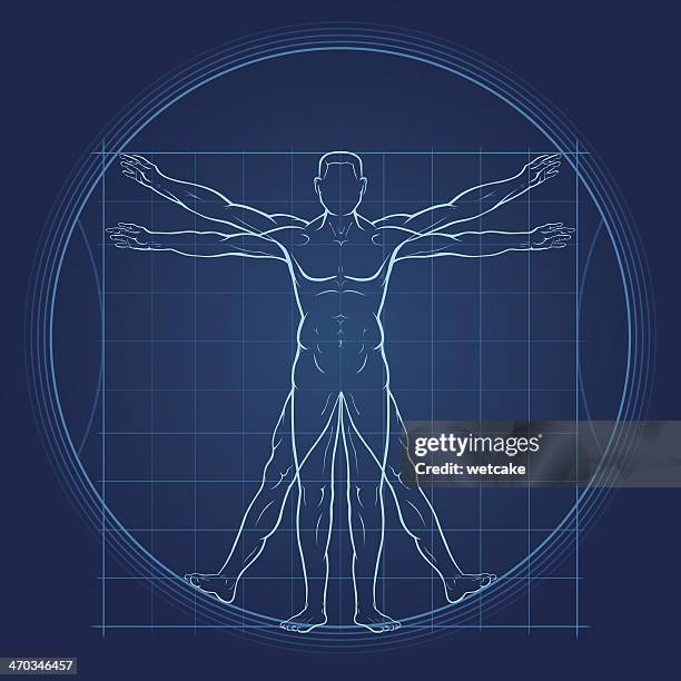 ilustraciones, imágenes clip art, dibujos animados e iconos de stock de fondo moderno el hombre de vitruvio - leonardo da vinci