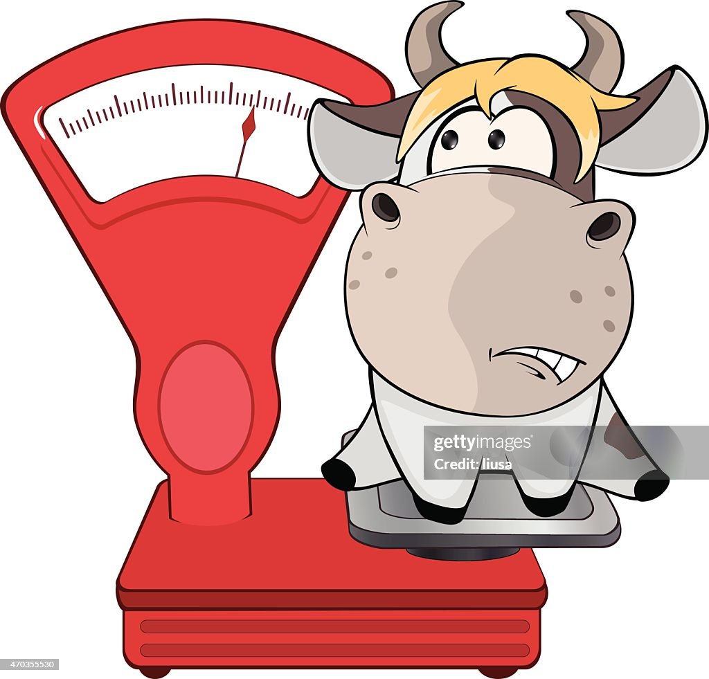 Small Cow And Weighing Scale Cartoon High-Res Vector Graphic - Getty Images
