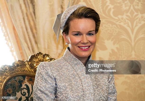 Queen Mathilde of Belgium during a meeting with President Giorgio Napolitano on February 19, 2014 in Rome, Italy. King Philippe and Queen Mathilde of...