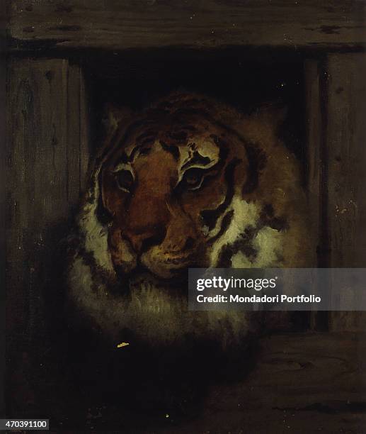 "Head of Tiger , by Francesco Hayez, c. 1860-1865, 19th Century, oil on canvas 5 x 66 cm Italy, Lombardy, Milan, Brera Academy. Whole artwork view....