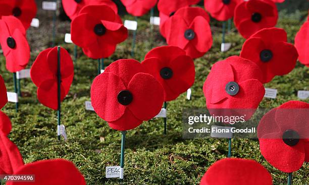 Poppies for Peace made by locals to commemorate Anzac Day adorn the Titirangi roundabout on April 20, 2015 in Auckland, New Zealand. 2015 marks the...