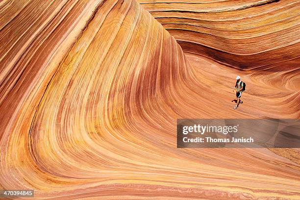 exploring the wave in coyote buttes, arizona, usa - the wave utah stock pictures, royalty-free photos & images