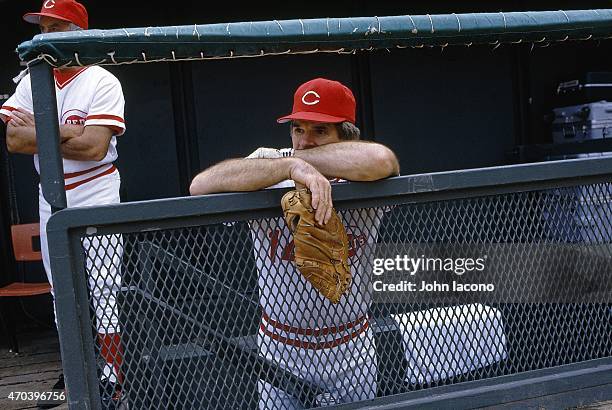 Red Roses Manager Pete Rose Photo By John Iacono Photos and Premium High Res Pictures ...