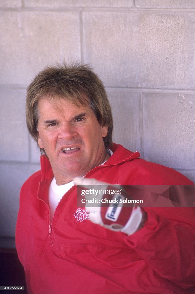 Red Roses Manager Cincinnati Reds manager Pete Rose in dugout during spring training ...