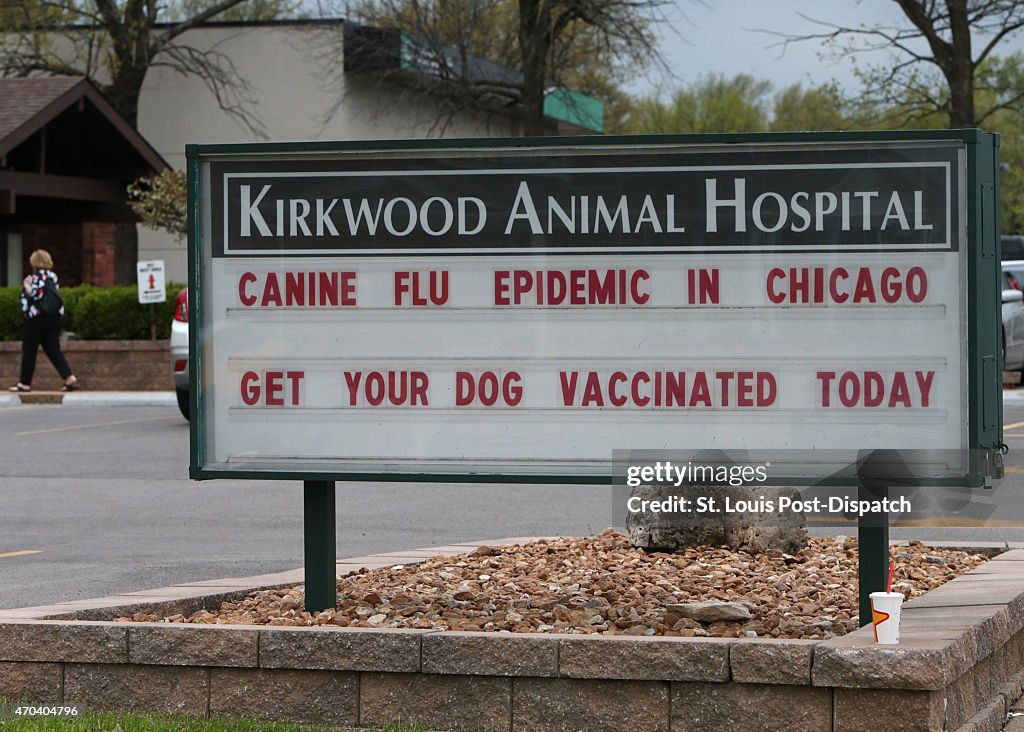 Midwest dog flu has some vets requiring vaccinations
