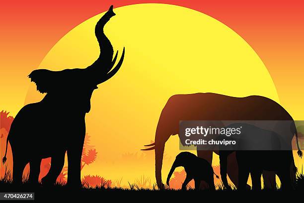 ilustraciones, imágenes clip art, dibujos animados e iconos de stock de familia de elefantes africanos siluetas de safari en día caluroso - cuatro animales