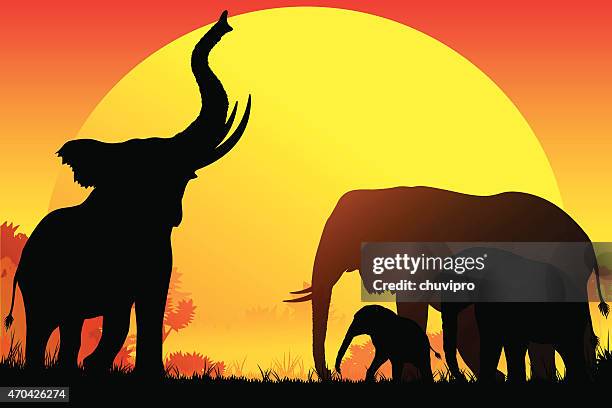 アフリカゾウ家族のシルエットでサファリホット日 - 四匹点のイラスト素材／クリップアート素材／マンガ素材／アイコン素材