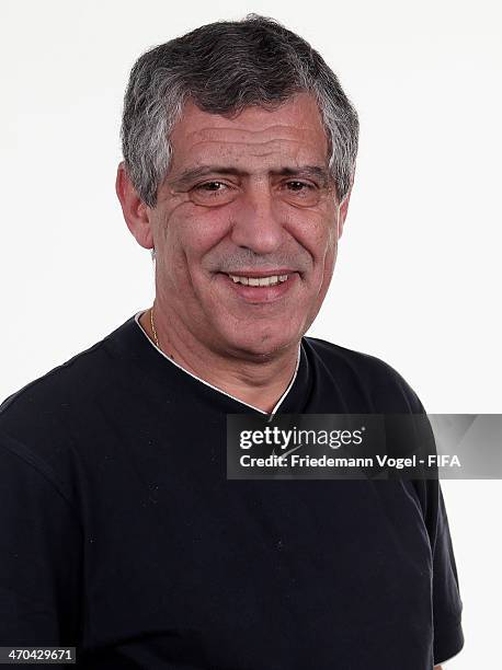 Head coach Fernando Manuel Fernandes da Costa Santos of Greece poses during the FIFA Team Workshop for the 2014 FIFA World Cup Brazil on February 19,...