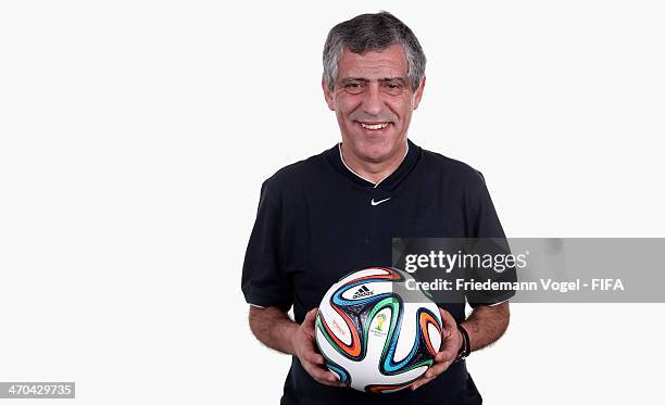 Head coach Fernando Manuel Fernandes da Costa Santos of Greece poses during the FIFA Team Workshop for the 2014 FIFA World Cup Brazil on February 19,...