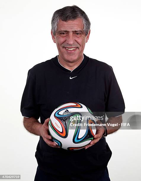 Head coach Fernando Manuel Fernandes da Costa Santos of Greece poses during the FIFA Team Workshop for the 2014 FIFA World Cup Brazil on February 19,...