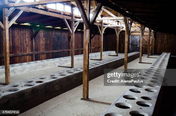 toilets in auschwitz concentration camp - loos memorial stock pictures, royalty-free photos & images