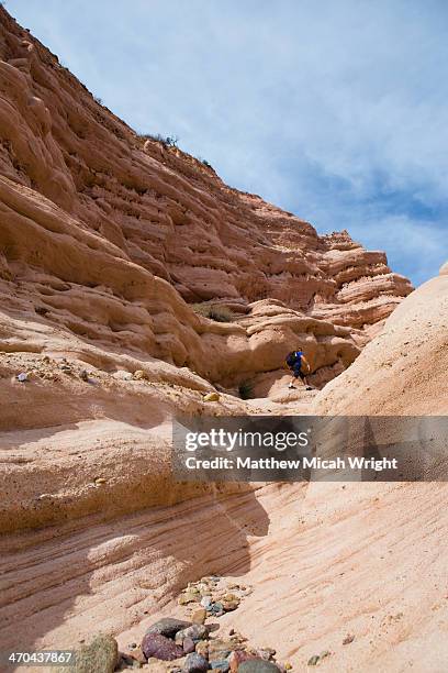 Whiting Ranch Whiting Ranch Wilderness Park Photos and Premium High Res Pictures ...