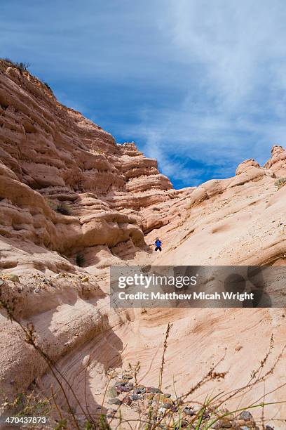 Whiting Ranch Whiting Ranch Wilderness Park Photos and Premium High Res Pictures ...
