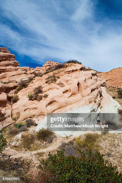 Whiting Ranch Whiting Ranch Wilderness Park Photos and Premium High Res Pictures ...