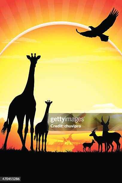 stockillustraties, clipart, cartoons en iconen met african giraffes, antelopes silhouettes safari against kilimanjaro in hot day - kilimanjaro