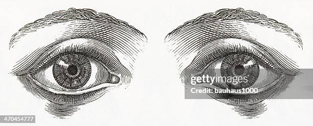 human eyes engraving - eye test stock illustrations