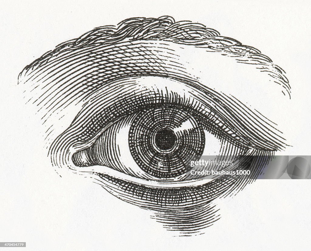 人間の眼の彫りこみ文字