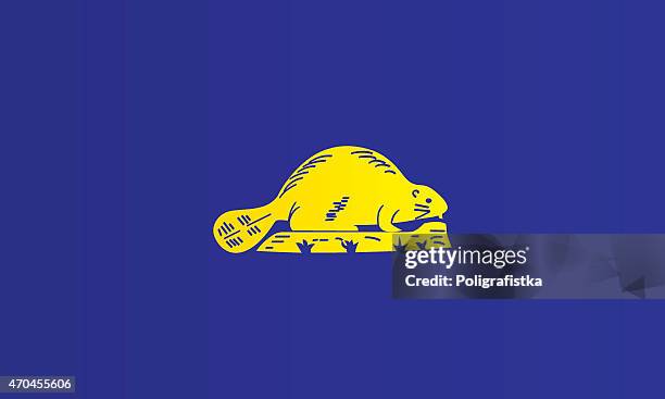 flag of oregon - reverse - oregon state flag stock illustrations