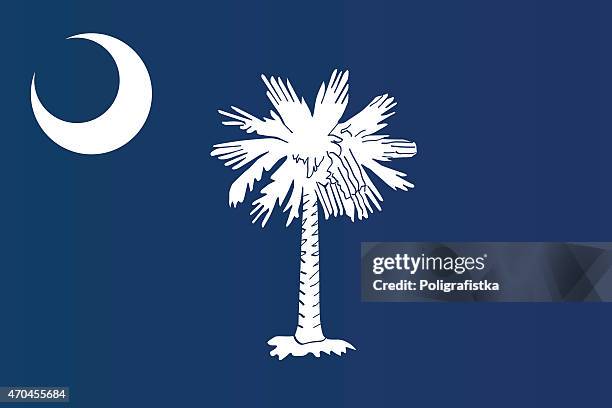 close-up of flag of south carolina - south carolina state flag stock illustrations