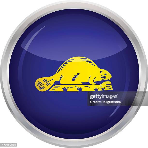 flag of oregon - reverse - oregon state flag stock illustrations