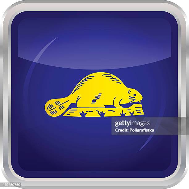 flag of oregon - reverse - oregon state flag stock illustrations