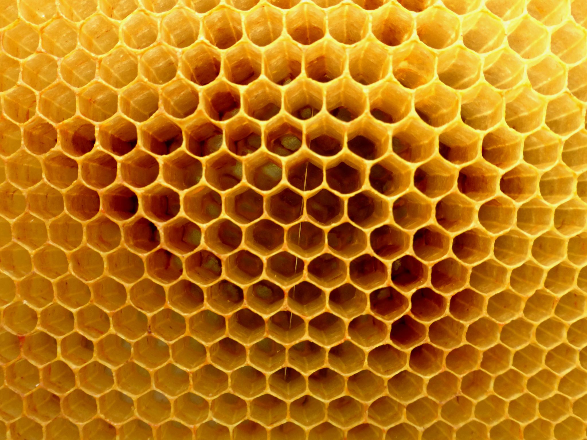waxing process
