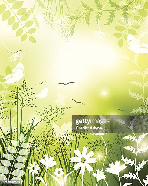 spring frame - blurred grass background stock illustrations