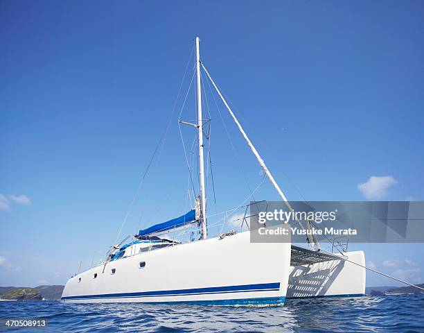 catamaran on the ocean - catamaran stockfoto's en -beelden