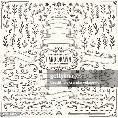 Hand Drawn Banners, Leaves,Flowers, Branches and Swirls Hand Drawn Banners, Leaves,Flowers, Branches and Swirls